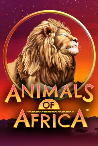 Демо версия Animals of Africa ™ от Microgaming | Казино Чемпион Слотс 