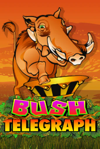 Демо версия Bush Telegraph от Microgaming | Казино Чемпион Слотс 