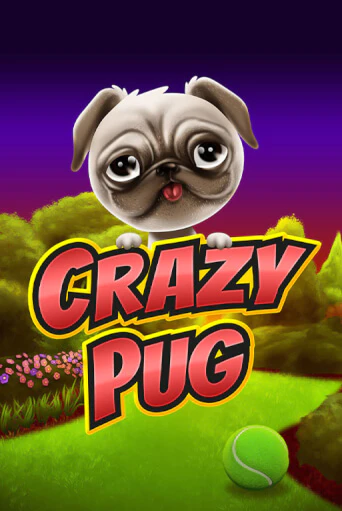 Демо версия Crazy Pug от Swintt | Казино Чемпион Слотс 