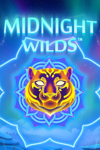 Демо версия Midnight Wild от Playtech | Казино Чемпион Слотс 