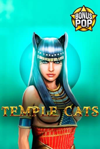 Демо версия Temple Cats от Endorphina | Казино Чемпион Слотс 