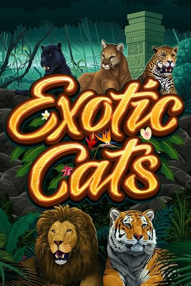 Демо версия Exotic Cats от Games Global | Казино Чемпион Слотс 